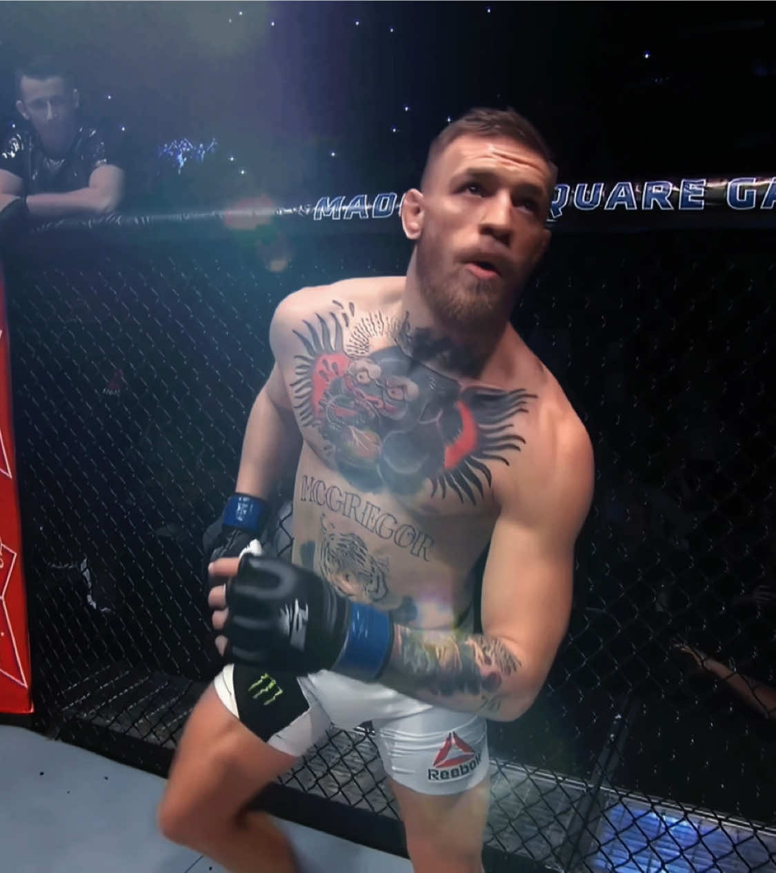 #conormcgregor #thenotoriousmma #UFC #mma #mmafighter #edit 