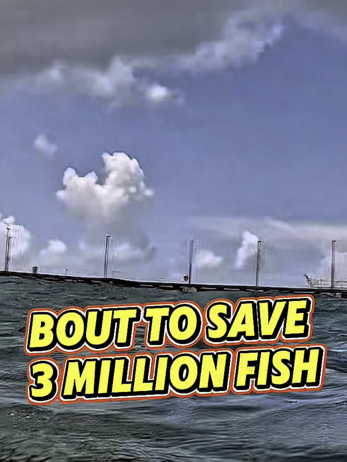 Shore diving and Curaçao. This is what is down under the water over at one of those big old cruise ship piers. In this case, there’s a lot of stuff!There’s a big old Ship that sunk at some point and we’re gonna go see what’s on it! Let’s go get those Lionfish! #du#dutcheastindiesu#curaçaoi#lionfishhuntingu#curaçao🇨🇼❤️h#shoredivingi#lionfishexterminationi#lionfishhuntingh#showusyourzku@Curaçao Tourist Boardi@lisettelionfishcaribbeanl@Alex Borsutzkya@Nathaniel Sorenseno@ZooKeeper