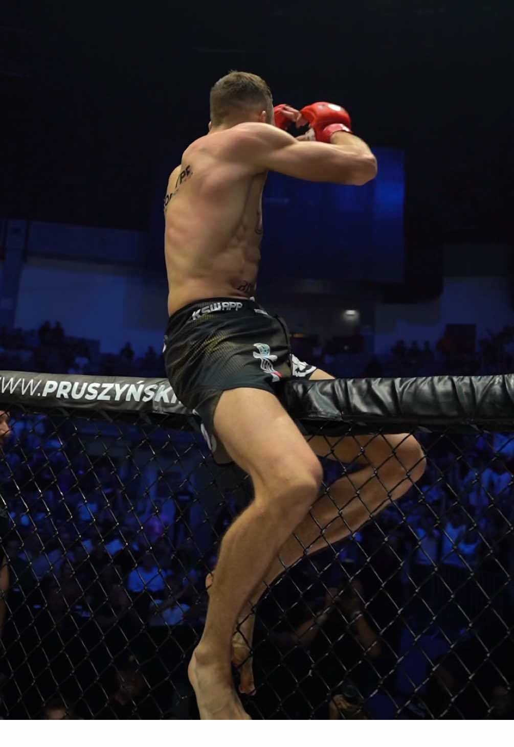 Jak debiutować, to tylko w takim stylu #ksw 