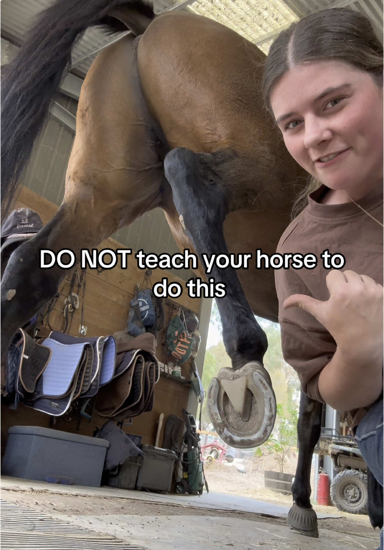 PLEASE DON’T teach ur horse this! This is INCREDIBLY DANGEROUS 😵‍💫 It’s a miracle I survived “training” this horse 😅 I was DUMB #equestriantok #equestrianlife #equestrianhumor #horsetok 