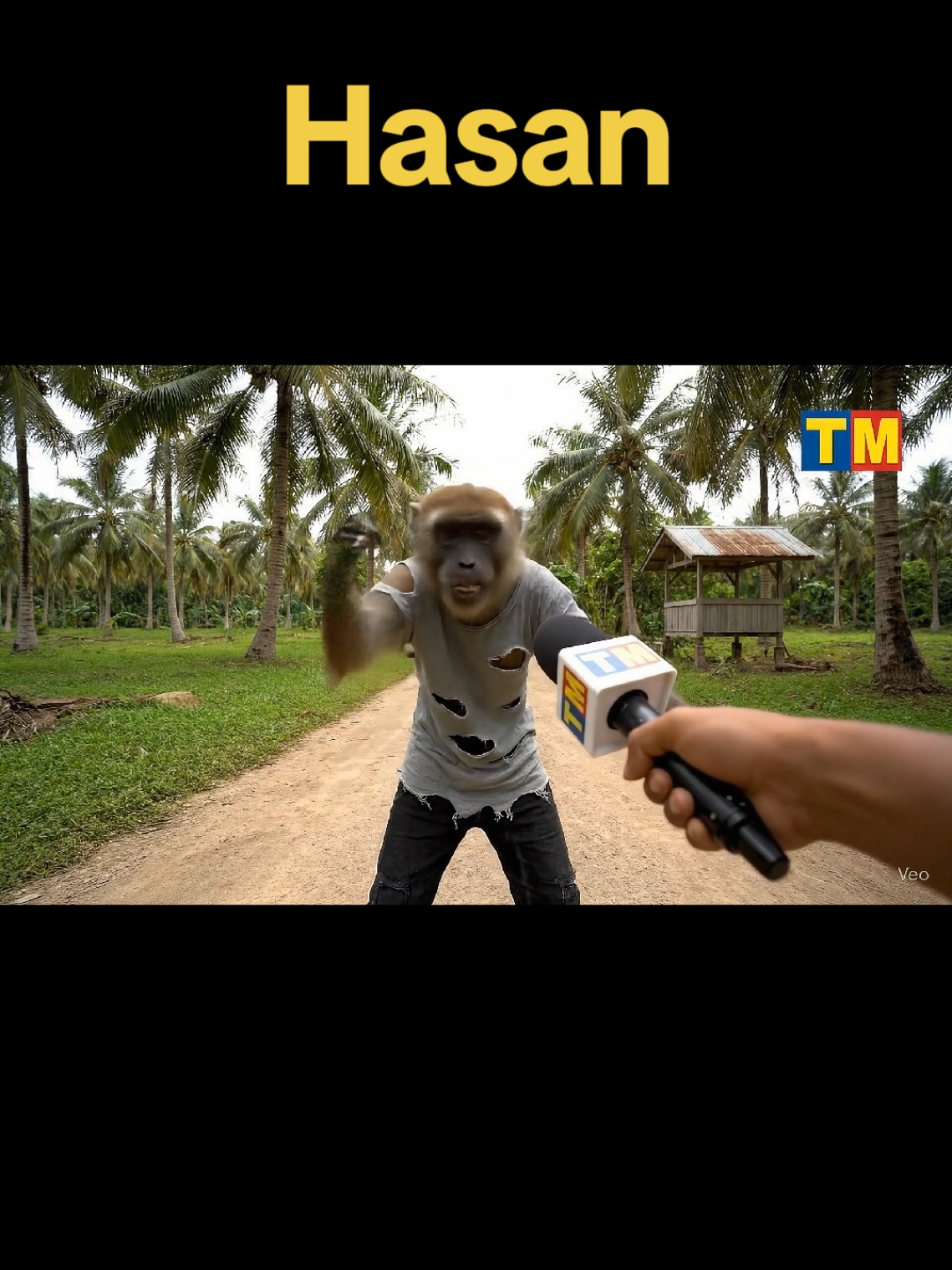 #veo3 #monyet #hasan #hutang 