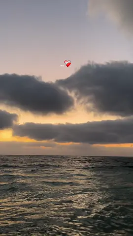 كـلـه سـلـف وديـن📌#fypシ゚viral #fypシ #yyyyyyyyyyyyyyyyyyyyyyyyyyyyyy #تصميم_فيديوهات🎶🎤🎬 #ترند #whattowatch #moviestowatch #اكسبلورexplore #سميه_درويش ##حلات_واتس #عيد_حسباتك_🥀💔كلو_سلف_وديييين 