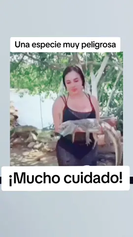 #humor 