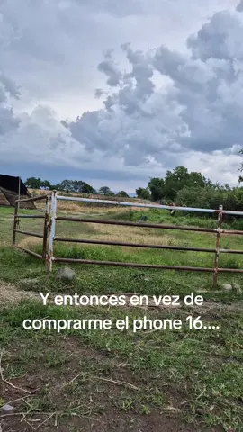 No lo entenderías 😌 #fyp #viral #ganaderia #vaca 