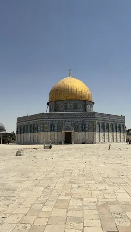 #jerusalem #israel #jerusalemwalker #alquds #holylandwalk #domeoftherock 