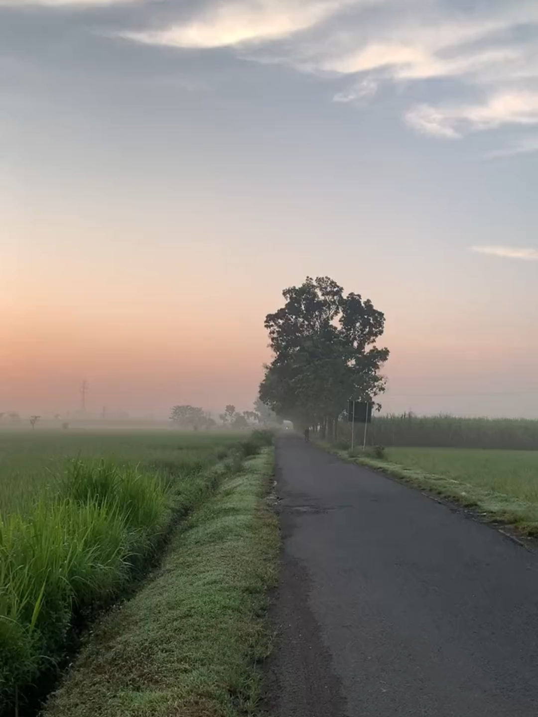Morning Person 🌞 #foreyoupage #fyp #fypdonggggggg #morning #sawah #xybca #kediri24jam 