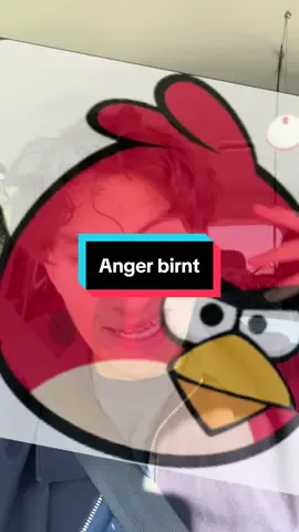 Anger birnt #fyp #funny #song #cover #singing 