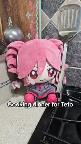 Btw if you never tried it putting a bit of soy sauce on porkchops is really good. It does burn and makes cleaning harder though. But it sticks to the pan so the steaks themselves are good. #venomvoice #重音テト #teto #tetokasane #kasaneteto #cooking 