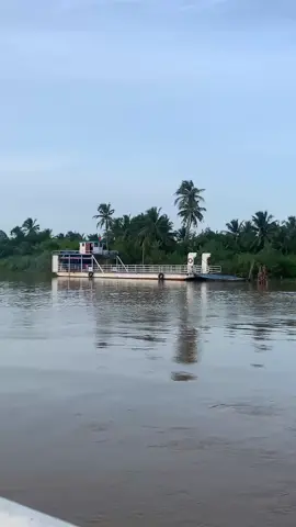 Xuôi chuyến phà miền tây #mientayvlogs #quehuong #songnuocmientay #nhachay #mientay #mientayquetoi #quehuongtoi #xuhuongtiktok #xuhuong #veque 
