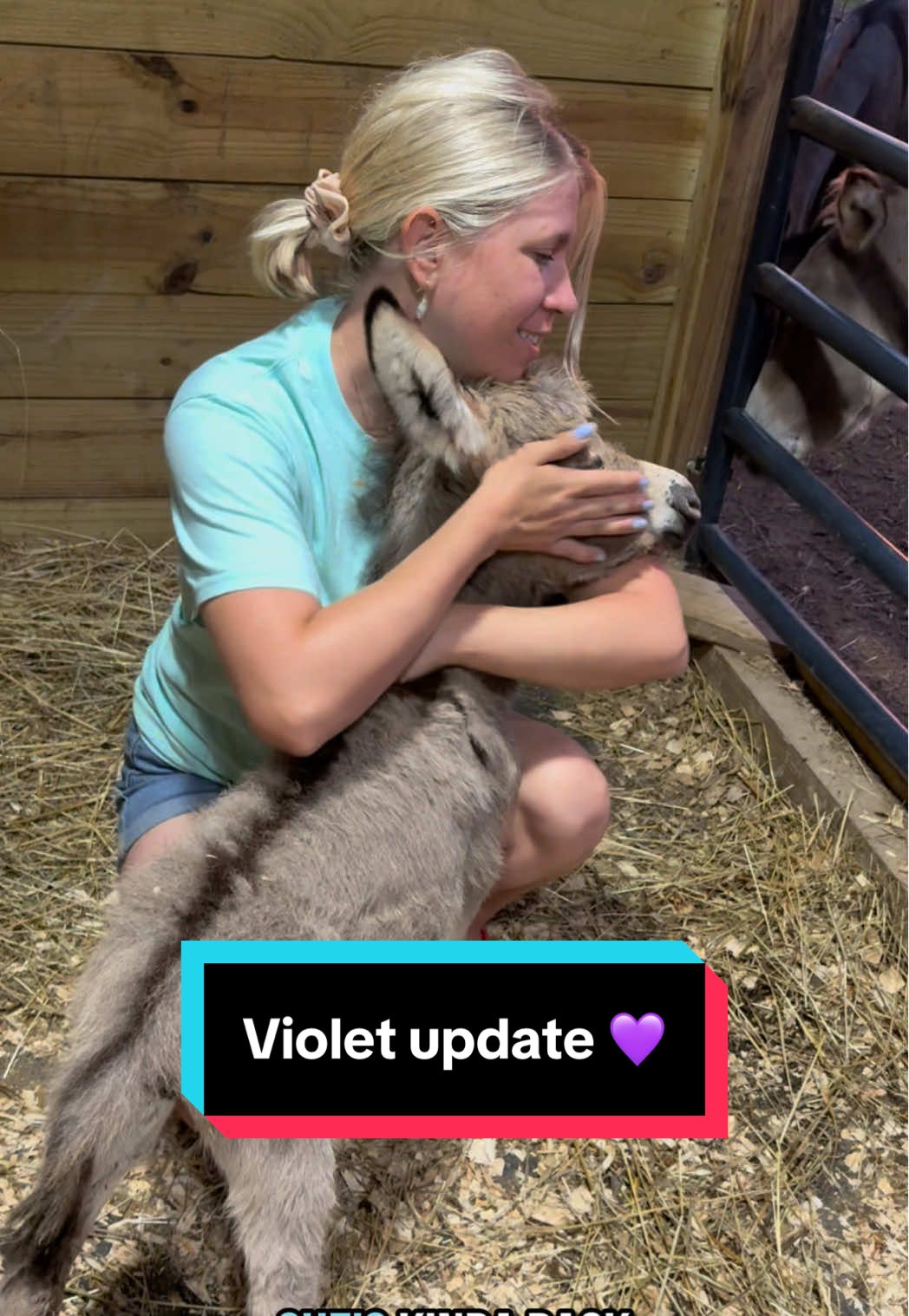 Our nightly routine with Violet 💜 #minidonkey #donkeyfoal #donkey #farmlife 