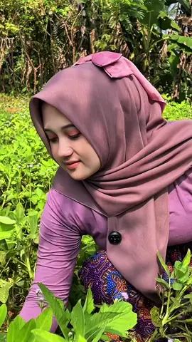 Neng sari bersihin kebun kacang #fyp #pedesaan #gadisdesa 