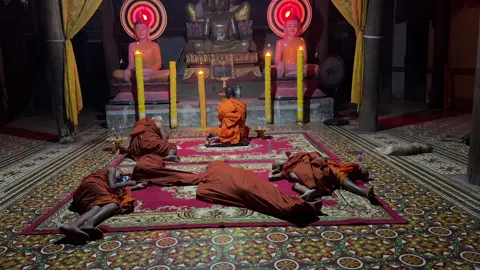 ទៅលែងរួចហេីយ😁