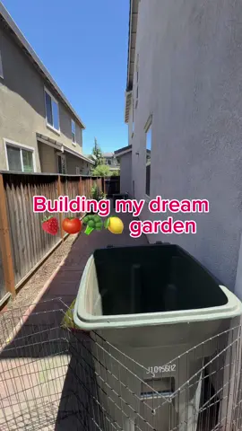 I don’t live on a plot of land and I have 3 dogs so all I really got is an alleyway 😭 lets see what I can do #CapCut #gardentok #beginnergarden #vegetablegarden #gardenharvest #fyp #suburbangarden 