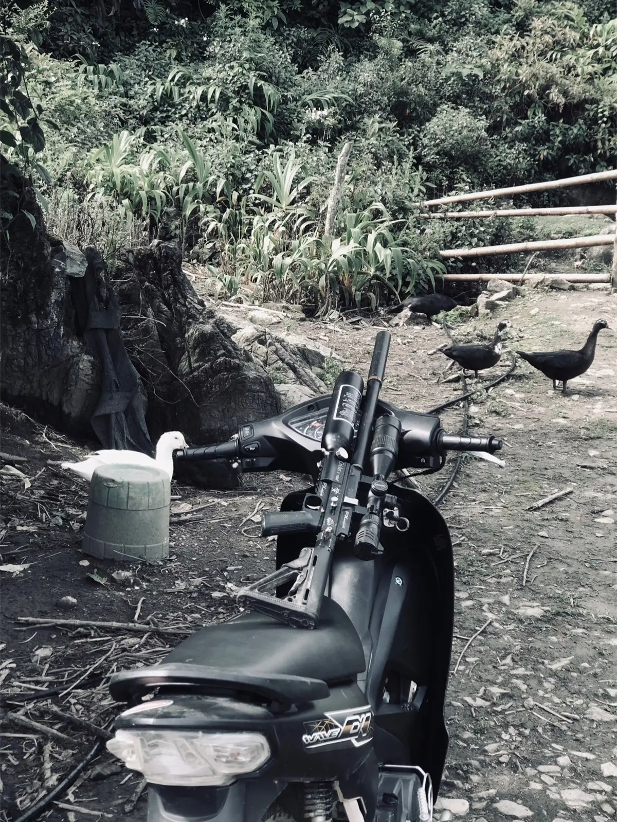 #xunghuong #xuhuongtiktok 