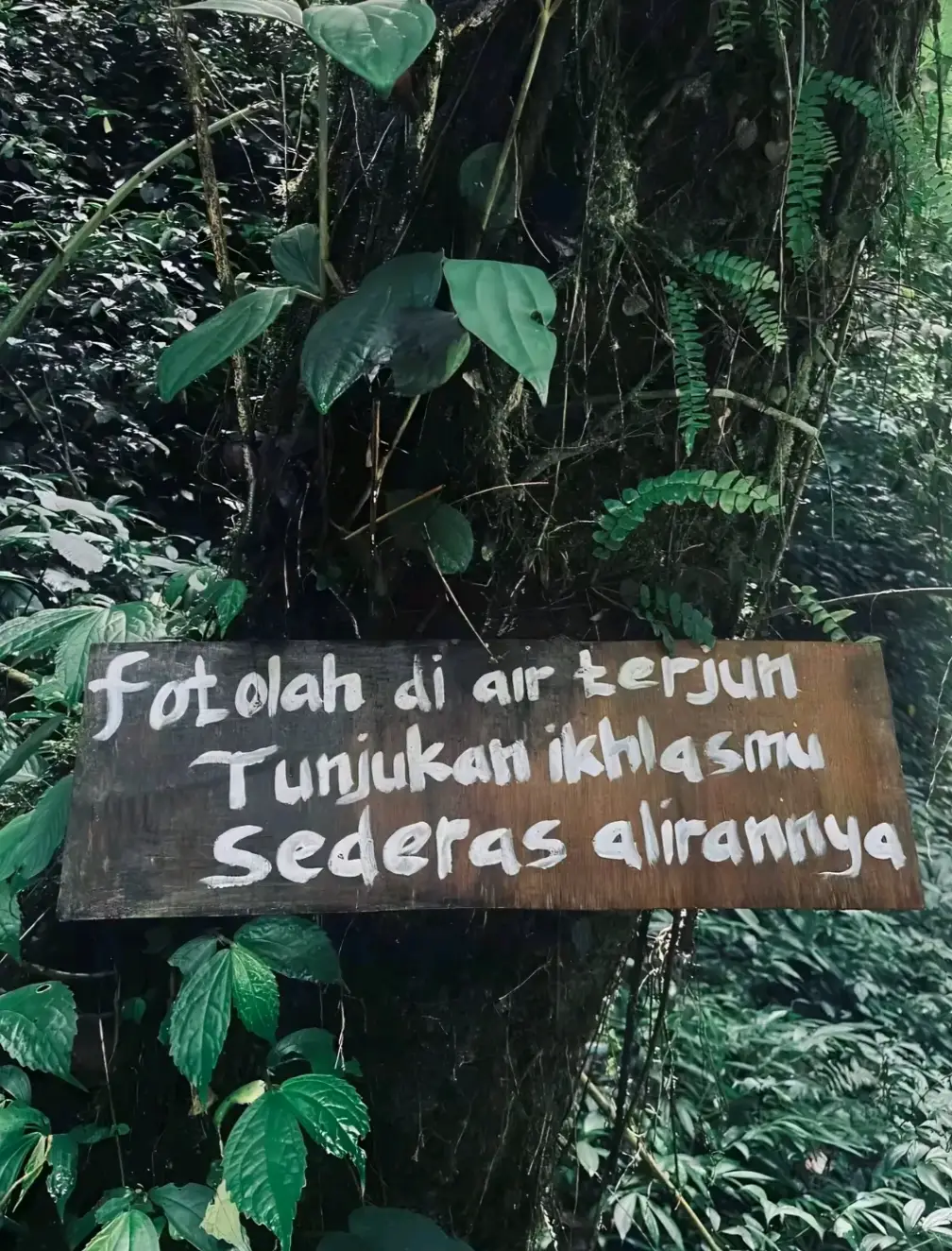 #fyp #fypage #4u #xybca #masukberandafyp #airterjun  #fotoslide 