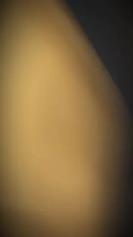 #CapCut 