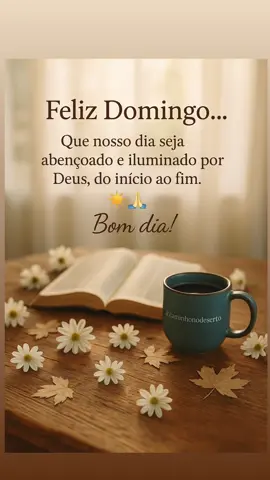 #deus #deus_no_controle #deusefiel #mensagemdodia #mensagemdedeus #mensagemdereflexão #bomdia #bomdiaaaaa #bomdiaaa #gratidao #fe #oracao #motivacional #fypシ゚ 