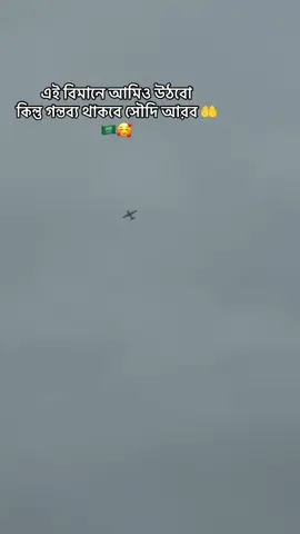 ইনশাআল্লাহ সামনের মাসের অপেক্ষা 🤲🇸🇦✈️