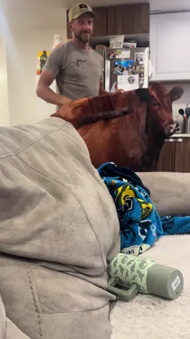 Apparently it’s to trick the antelope…. 