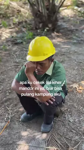 kek mana kira kira😁 #katakata #soundbatak #masukberandafyp #foryou #viraltiktok #helemkuning #kulipabrikhitz #pabrikkelapasawit #fyppppppppppppppppppppppp 