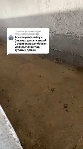 Ответ пользователю @opopoqpo 