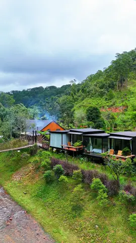 Cứ ngỡ đang ở Châu Âu #dalatreview #dalattrip #dulichdalat #travelblogger #checkindalat #travellife #dulichtiktok #dalatstory #kiwukidalatresort #reviewdalat #dulichvietnam #reviewdulich 