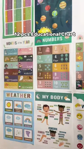 12 pcs Educational Chart! Fun and Interactive Learning.  #educationalchart #kidslearning #alphabetchart #12pcseducationalchart #laminatedchartsforkids  #fyp #creatorsearchinsights 
