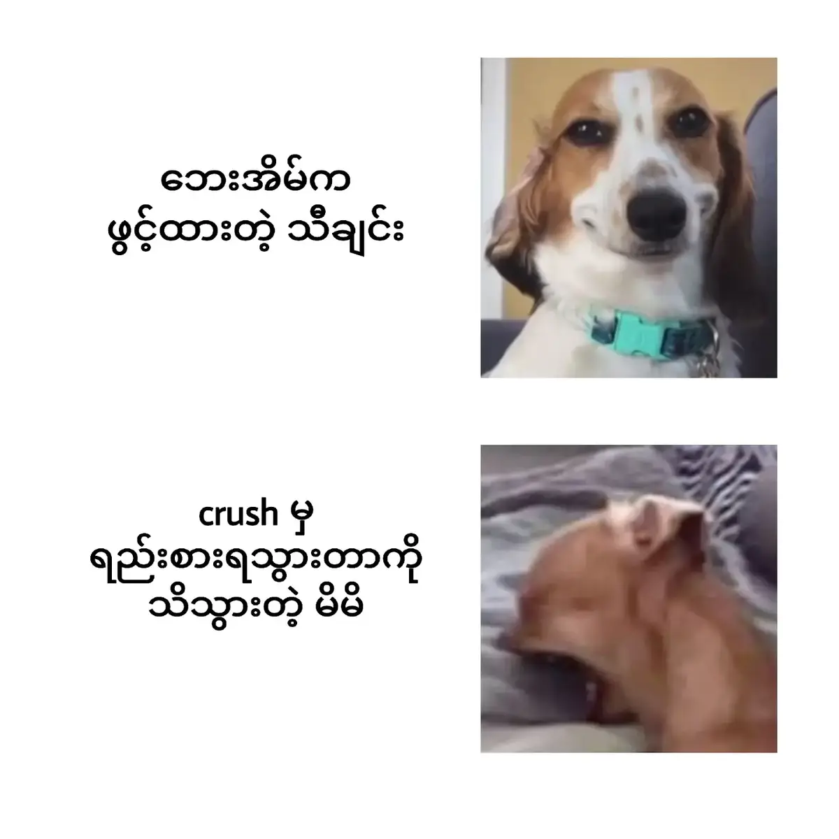 အချစ်က သိပ်ခက်တဲ့ ကဗျာလေးပဲ💌 #foryou #fyp #fypシ #viral #fyppppppppppppppppppppppp 
