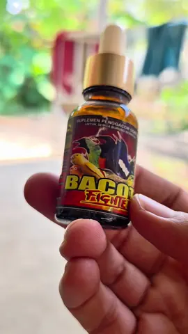 bacot fighter penggacor burung seketika #bacotfighter #vitaminbacotfighter #vitaminpenggacorburung #muraimania 