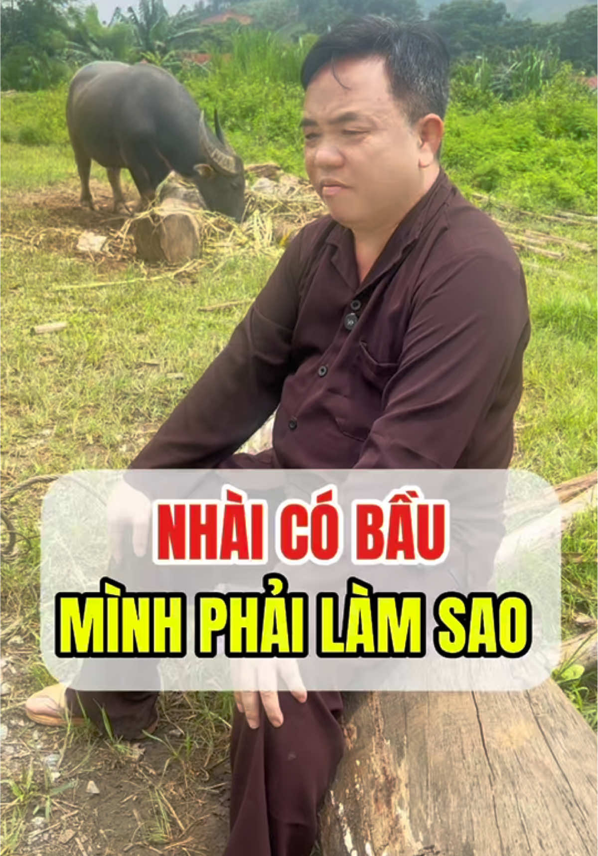 Thế Là Thế nào các bác ? #cuoibebung #giadinhhaihuoc #anhembaton #haihaihuoc