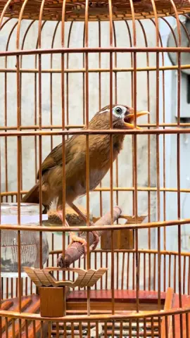 #mọingười 