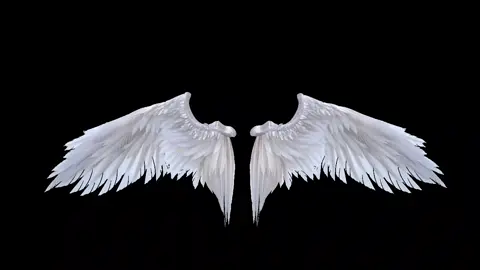 white wings black screen.. #blackscreen #blackscreeneffects #fypageeeeeeシ #effect #effects 