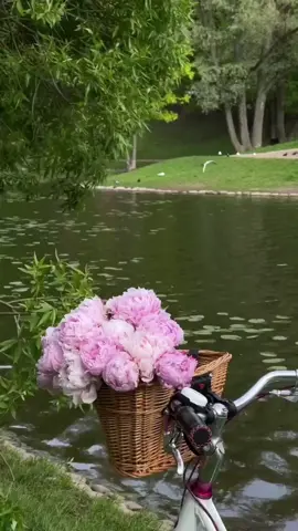 صباح مشرق يحمل معه الأمل والتفاؤل، صباح تتجدد فيه النعم وتُكتب فيه فصول جديدة من الحياة. املأوا هذا الصباح بحسن الظن بالله، وابتسامة رضا، ودعوات صادقة بأن يكون يومكم جميلًا مليئًا بالخير والسعادة. ‏#صباحكم_نور  #صباحكم_سعادهـ🌸🍃  ‏⁧‫#صباح_الأشياء_الجميلة🌼 ‬⁩ ‏⁧‫#صباح_الخير_والسعاده_أكسبلور✨♥️ 