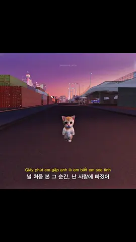 Hoàng Thùy Linh - See Tình #노래 #song #playlist #고양이 #mood #cat #challange #챌린지 