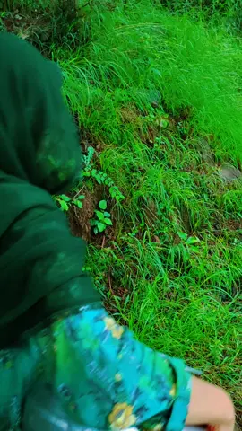 #Parri #Abrsh #Baby ##Home 