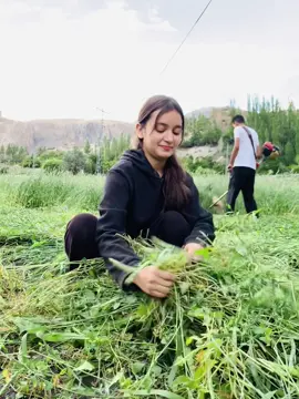 🫢🫣 . . #fyp #foryoupagе #fypp #gilgitbaltistan 