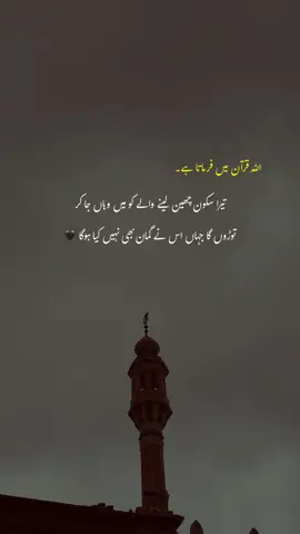 انشاءاللہ۔🤲🏻🥺💔 | #1millionaudition #aesthetic #foryou #foryoupage #poetrystatus #lines #unfreezaccount #tiktoksolve 
