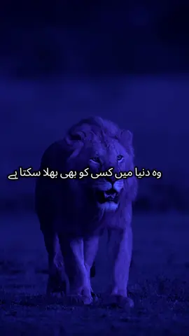 🍁🍁🍁گہری۔چپ🍁🍁🍁 مولا علی فرماتے ہیں جو شخص اپنے خدا کو بلا دیتاہے وہ دنیا میں کسی کو بھی۔۔۔۔۔۔۔۔۔۔۔۔۔۔۔۔۔۔۔۔۔۔۔۔۔۔۔۔۔۔۔۔۔۔۔۔۔۔۔۔۔۔۔۔۔ Life Advise (8)🕊🇵🇰🍀 #hazratali #hazrat #motivationvideo #hazrataliquotes #loveyou #lifeadvise #unfreezemyacount 