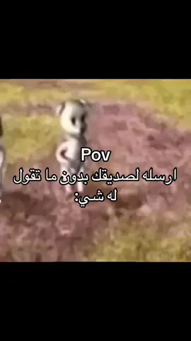 هبابا هدادا هبا ابا ابا 😍😍😍