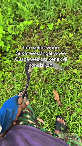 #fyp #xybca #foryoupage #kandang #peternaksapiindonesia 