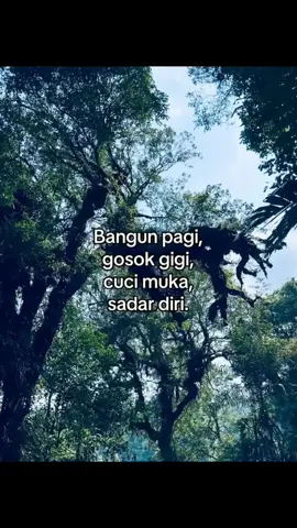 #nttpride🏝🔥kupangntt💯 