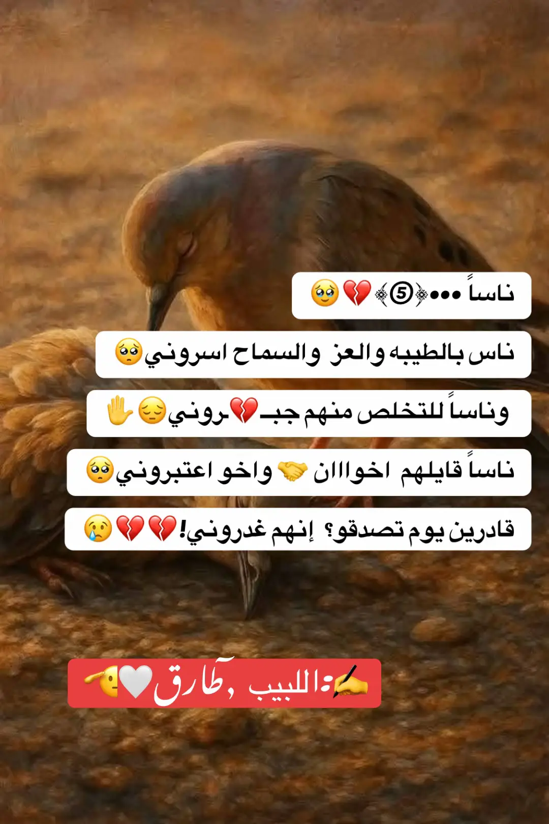 #💔 #اكسبلور #اعادة_النشر🔃 