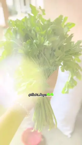 #CapCut purun dilamar kaleh sledri a dek 🤣 #fyp #sayur #pasar 