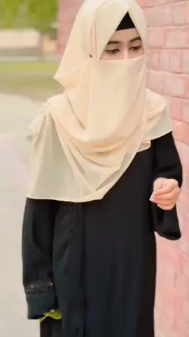 #creatorsearchinsights #fypシ゚viraltiktok☆♡🦋myvideo🖤🖤 