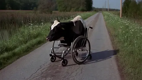 #wheelchair #cow #funny #fyp #ai 