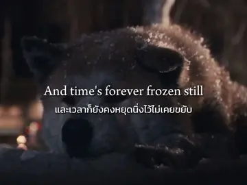 #แปลเพลง Photograph - Ed Sheeran #แปลเพลงฮิต #แปลเพลงอังกฤษ #song #lyrics #thaisub #photograph #edsheeran #hachiko #hachiadogstale #fyp #foryou #foryoupage @TikTok 