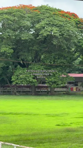 falling doesn’t mean the end. it means progress. #failforward #motivation 