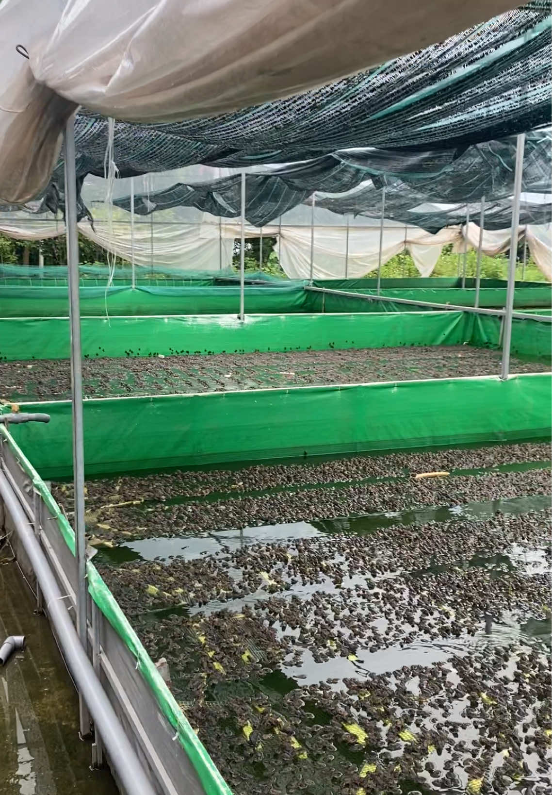 Bão về đến nơi rồi làm sao đây