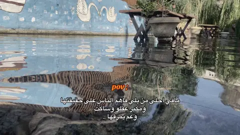 ﮼الحمدلله 💙🌿