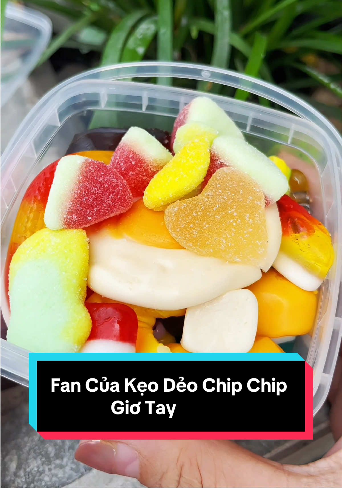 Fan Của Kẹo Dẻo Chip Chip đâu ạ #kẹo #keongon #keodeo #keodeotraicay #keodeochipchip #keodeochipchipmixvi #chipchip #monanngon #monngonmoingay #ănvặt #anvat #doanvat #xh #xhtiktok #xhuong #xhuongtiktok #xuhuong #xuhuongtiktok #viralvideo #viral #viraltiktok #videoviral #bepchinhne 